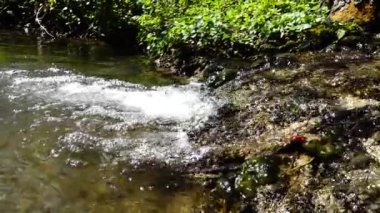 Nehirdeki su akıntısı. Yavaş çekim.