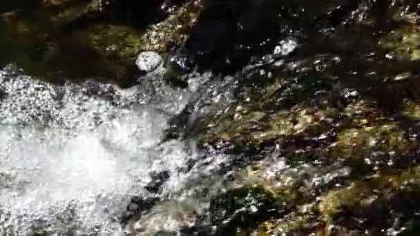 Flusso Acqua Nel Ruscello Primaverile Rallentatore — Video Stock