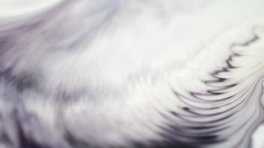 Siyah beyaz arkaplan. Siyah beyaz boyalar.