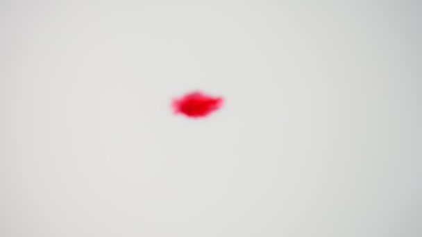 红色滴在白色的背景上 白色背景上的黑色和红色 — 图库视频影像