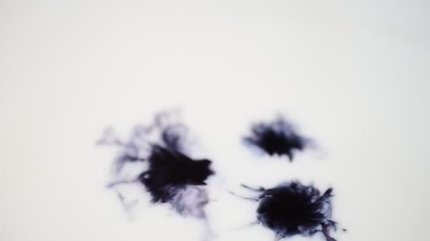 Des gouttes noires sur fond blanc. Parcelle d'art 