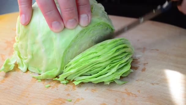 Technology Sharp Cabbage Cook Cuts Cabbage — Stock Video