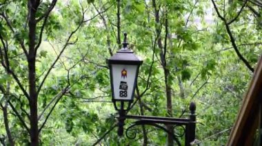 Lamba ağaçlara karşı. Park 'ta çekim