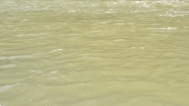 Corriente Del Río Montaña Agua Río — Vídeos de Stock