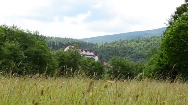 Wiese Gegen Berge Berge Und Natur — Stockvideo