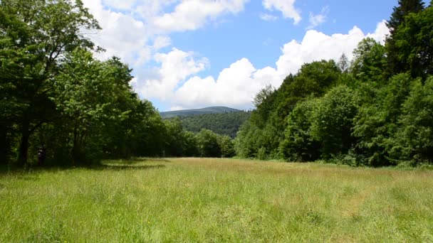 Montanhas Natureza Prado Contra Montanhas — Vídeo de Stock