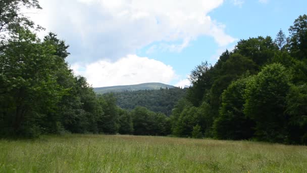 Wiese Und Berge Schießerei Bergrevier — Stockvideo