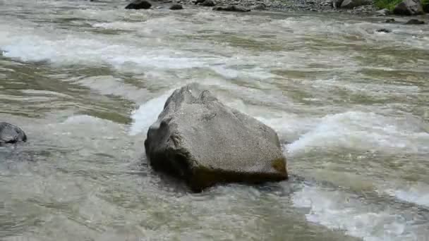 Río Entre Montañas Madera Río — Vídeos de Stock