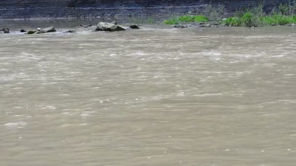 Doğa Dağ Nehri Yazın Nehir Akıntısı — Stok video