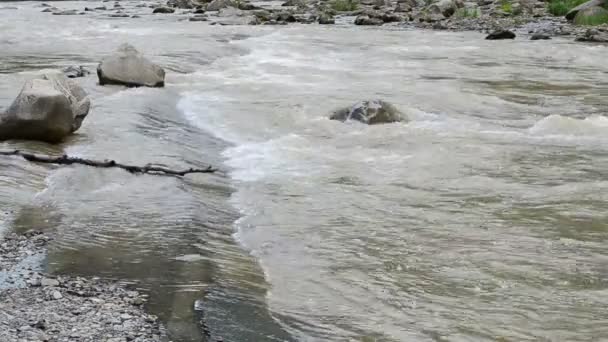 Yazın Nehir Akıntısı Doğa Dağ Nehri — Stok video