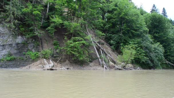 Eau Pierres Rivière Ruisseaux Bruyants Rivière Montagne — Video