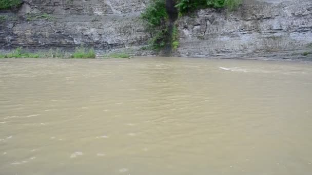 Flusslauf Sommer Raue Bäche Des Gebirgsflusses — Stockvideo