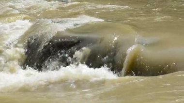 Nehir ve taşlar. Dağ nehri