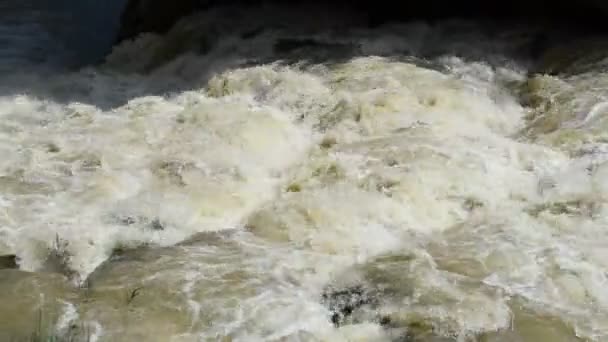 Schneller Fluss Des Flusses Berg Und Gebirgsfluss — Stockvideo