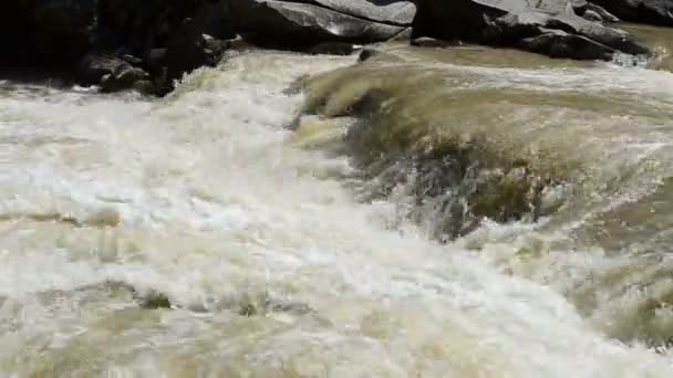 Fluss Und Steine Gebirgsfluss — Stockvideo