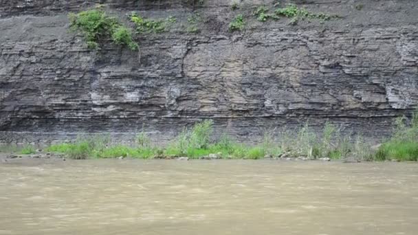 夏に川の流れ 山の川の大まかな流れ — ストック動画