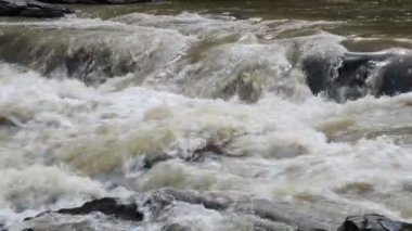 Dağ nehri. Yazın çekim.