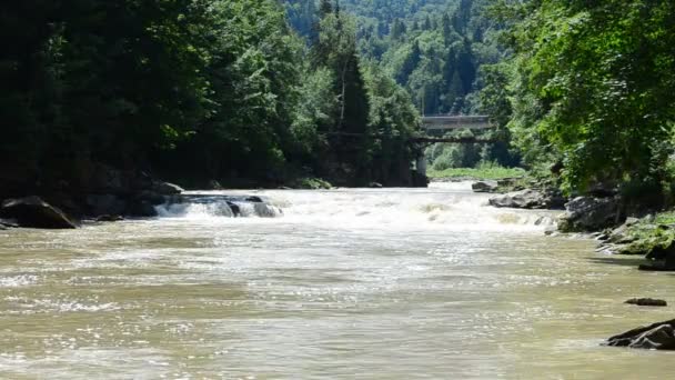 Der Fluss Zwischen Den Bergen Wald Und Fluss — Stockvideo