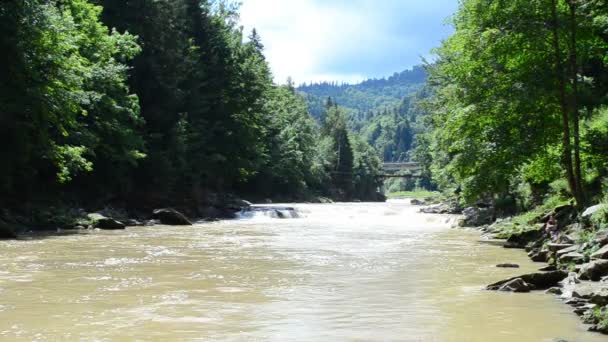 Bois et rivière. La rivière parmi les montagnes 