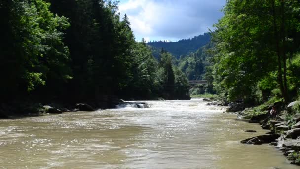 Natur Und Gebirgsfluss Flusslauf Sommer — Stockvideo