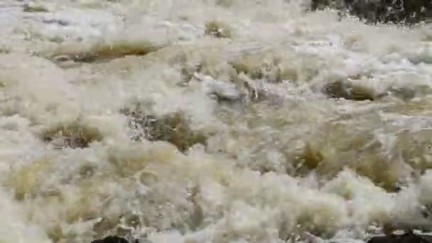 Σκληρά Ρυάκια Του Ποταμού Του Βουνού Νερό Και Πέτρες Ρέμα — Αρχείο Βίντεο