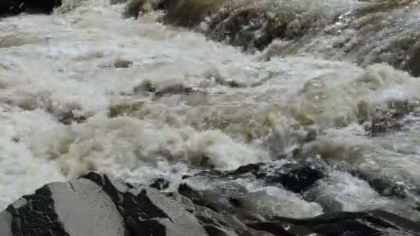 Schieten Zomer Bergrivier — Stockvideo