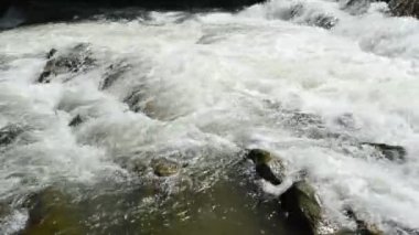 Taşlar ve nehir. Dağ nehrinin akıntısı