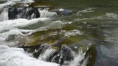 Dağların arasındaki dağ nehri. Nehrin hareketi