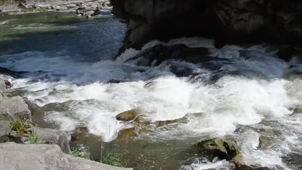 Πέτρες Και Ποτάμι Καταρράκτες Και Ποταμός — Αρχείο Βίντεο