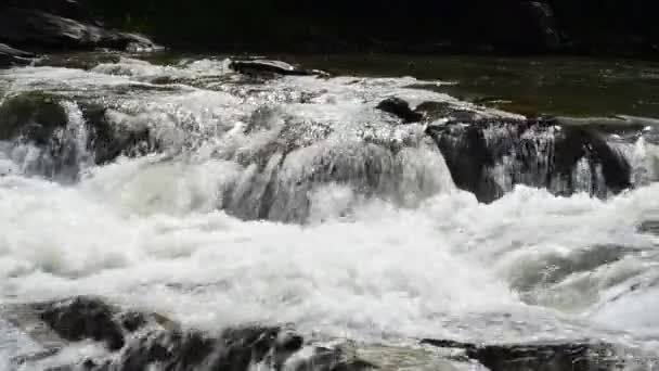 Nehrin Hareketi Dağların Arasındaki Dağ Nehri — Stok video