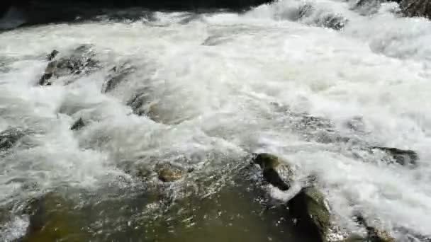 Steine Und Fluss Strömung Des Gebirgsflusses — Stockvideo