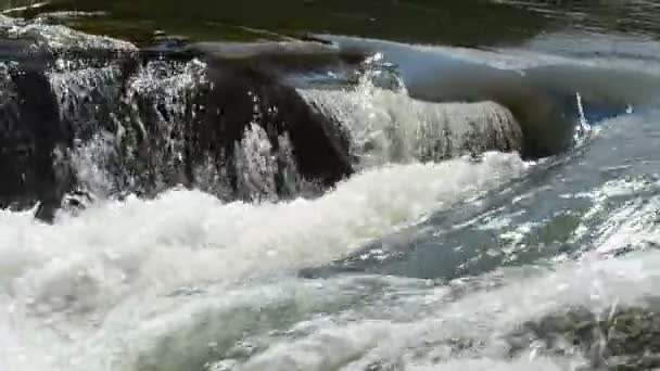 Prąd Górskiej Rzeki Kamienie Rzeka — Wideo stockowe