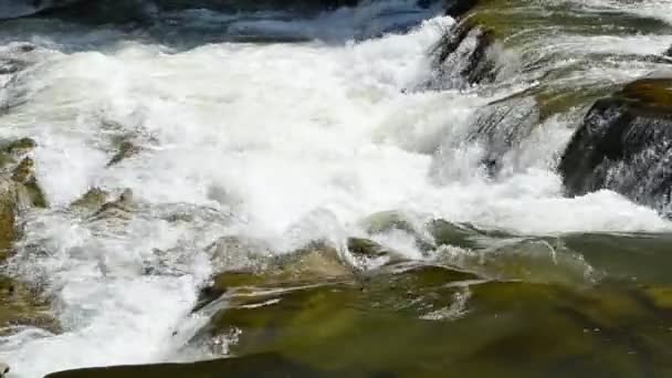 Dağ Nehrinin Şelaleleri Dağlarda Yolu — Stok video