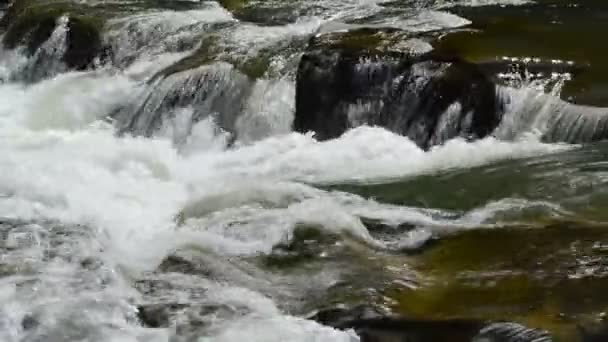 Hareketi Dağ Nehrine Düşüyor — Stok video