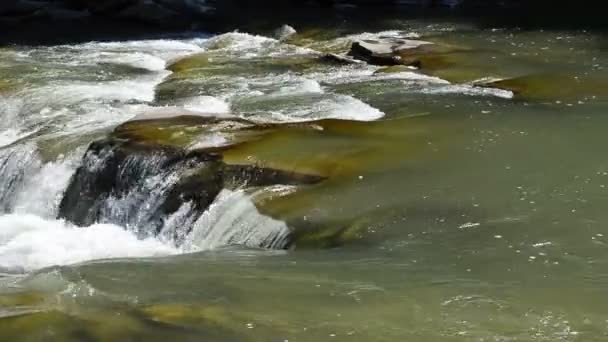 Progi Wodospady Rzeki Piękna Górska Rzeka — Wideo stockowe