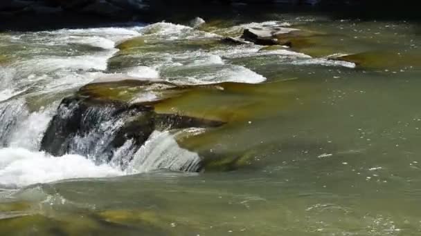 Seuils Chutes Rivière Belle Rivière Montagne — Video