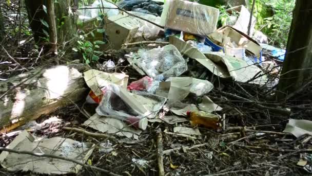 森の中にゴミ捨て場 生態系への違反 — ストック動画
