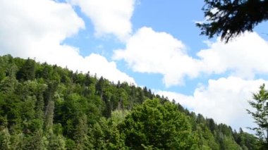 Gökyüzüne karşı dağlar. Yazın dağlar.