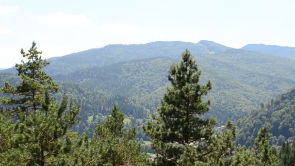 Hout Bergen Schieten Juli — Stockvideo