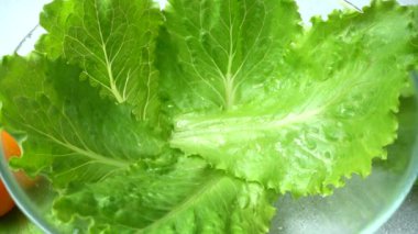 Marul yapraklarının üzerine düşen domatesler. Yavaş çekim.