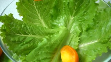 Marul yapraklarının üzerine düşen domatesler. Yavaş çekim.