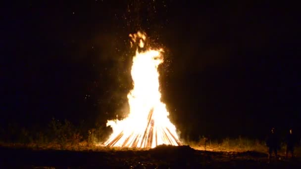 Schönes Feuer Feuer Für Ivan Kupalas Urlaub Juli Sommer Ukraine — Stockvideo