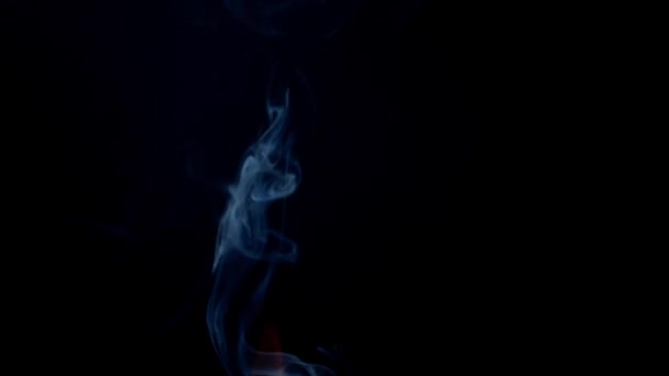 在黑色背景上抽烟 慢动作 — 图库视频影像