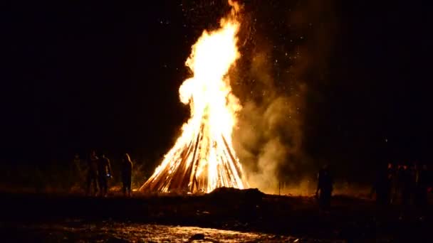 Tűz Tisztáson Tűz Ivan Kupala Nyaralásához Július Nyár Ukrajna — Stock videók