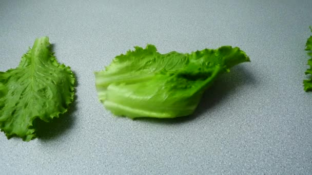 Lechuga Que Cae Sobre Mesa Cocina Movimiento Lento — Vídeos de Stock