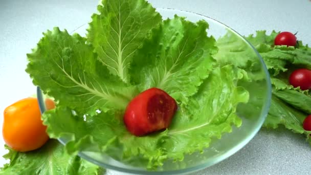 Die Fallenden Tomaten Auf Den Salatblättern Zeitlupe — Stockvideo