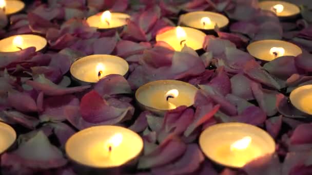 Roses Candles Black Background — Stock Video