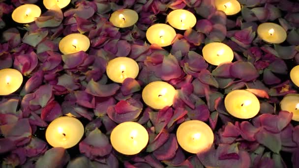 Rose Candele Sfondo Nero — Video Stock