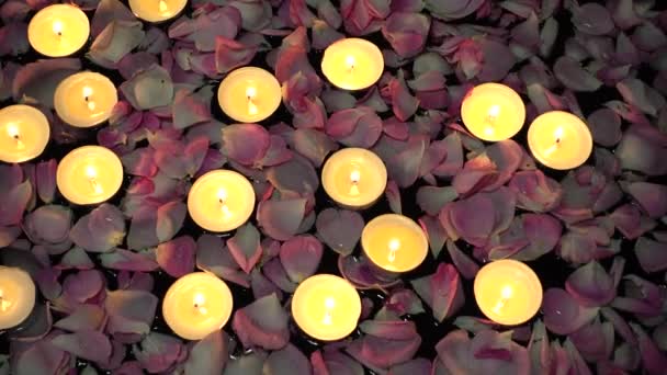 Rosas Velas Sobre Fundo Preto — Vídeo de Stock