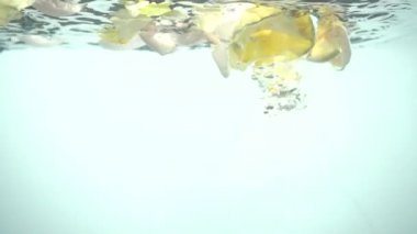 Gül yaprakları suya düşer. Geçmişi. Yavaş çekim.